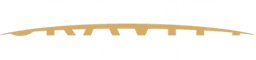 Gravity Team Logo